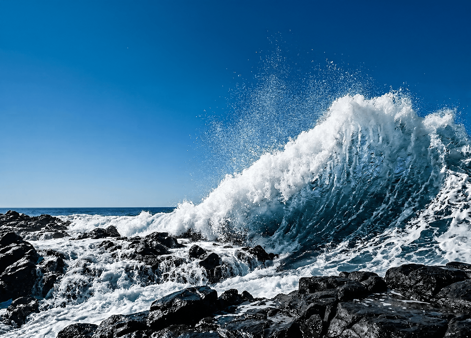 雙重平衡強攻能守